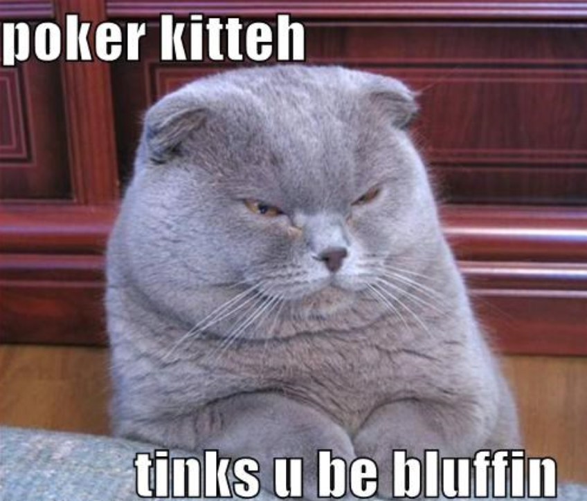Poker Kitty 